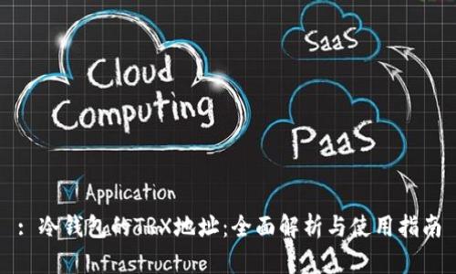 : 冷钱包的TRX地址:全面解析与使用指南