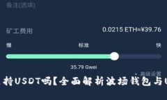 波场钱包支持USDT吗？全面