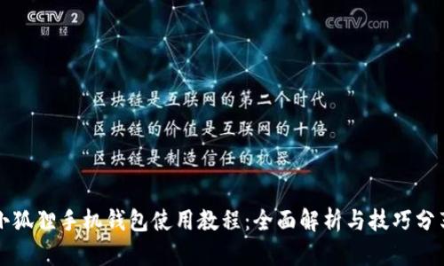 小狐狸手机钱包使用教程:全面解析与技巧分享