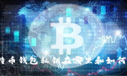 : 比特币钱包私钥在哪里和如何保护？