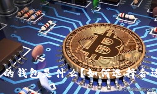 存比特币的钱包是什么？如何选择合适的钱包？