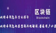 比特币钱包长什么样子比