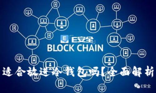 狗狗币适合放进冷钱包吗?全面解析与建议