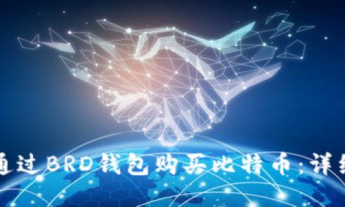 如何通过BRD钱包购买比特币:详细指南
