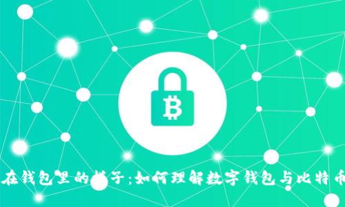 比特币在钱包里的样子:如何理解数字钱包与比特币的关系