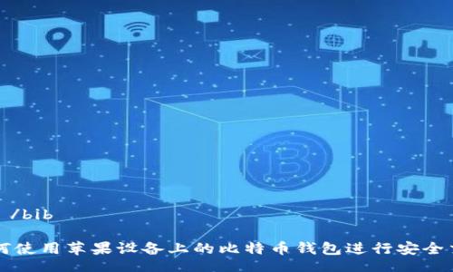 bib /bib
如何使用苹果设备上的比特币钱包进行安全交易