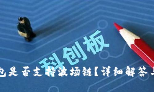 小狐狸钱包是否支持波场链?详细解答与使用指南