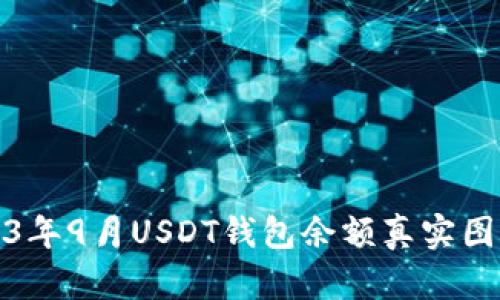 : 2023年9月USDT钱包余额真实图片分析