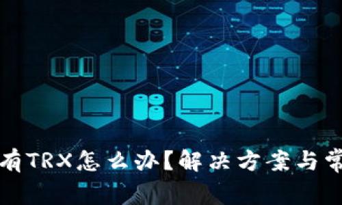 波宝钱包没有TRX怎么办?解决方案与常见问题解答