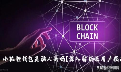 : 小狐狸钱包是骗人的吗？深入解析及用户指南