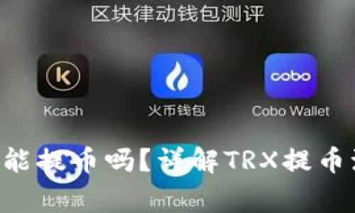 TRX钱包现在还能提币吗？详解TRX提币流程与注意事项