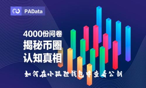 如何在小狐狸钱包中查看公钥