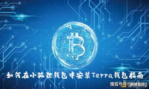 如何在小狐狸钱包中安装Terra钱包指南