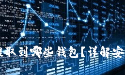 : SHIB可以提取到哪些钱包？详解安全的钱包选择