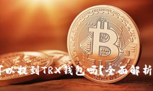 AE币可以提到TRX钱包吗?全面解析与指南