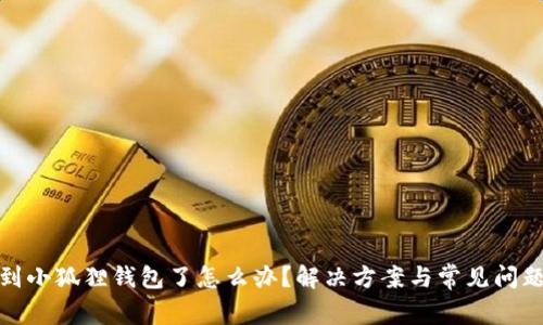 搜不到小狐狸钱包了怎么办?解决方案与常见问题解析