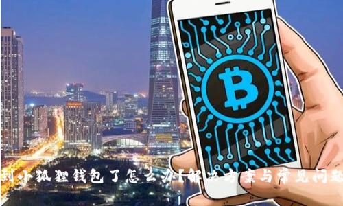搜不到小狐狸钱包了怎么办?解决方案与常见问题解析
