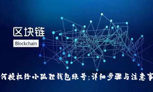 如何授权给小狐狸钱包账号：详细步骤与注意事项
