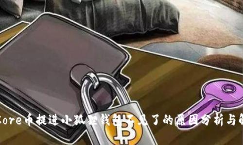 如何将Core币提进小狐狸钱包不见了的原因分析与解决方案