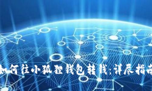 如何往小狐狸钱包转钱:详尽指南