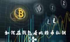 如何在钱包看比特币私钥