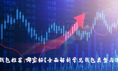 比特币钱包推荐:哪家好?全面解析常见钱包类型与选择技巧