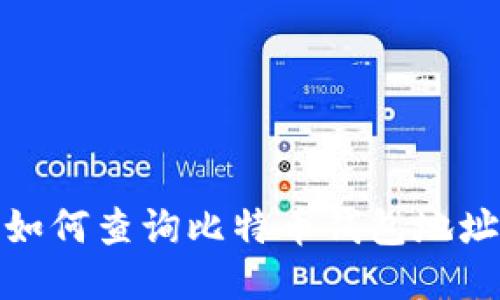 如何查询比特币钱包地址