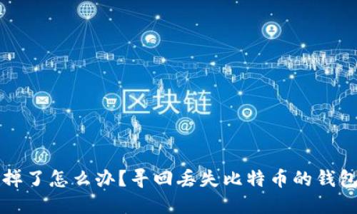 比特币钱包掉了怎么办?寻回丢失比特币的钱包的实用指南