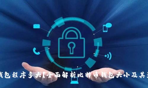 比特币钱包程序多大？全面解析比特币钱包大小及其影响因素