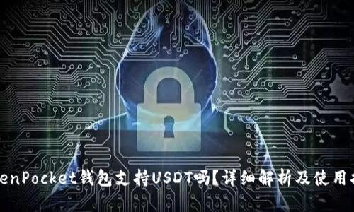 TokenPocket钱包支持USDT吗?详细解析及使用指南