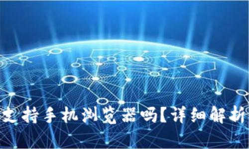 MetaMask支持手机浏览器吗?详细解析及使用指南