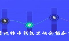 怎样查看比特币钱包里的