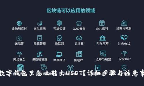 : 数字钱包里怎么转出USDT？详细步骤与注意事项
