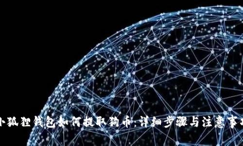 小狐狸钱包如何提取狗币:详细步骤与注意事项