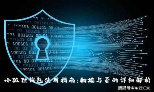 小狐狸钱包使用指南:翻墙与否的详细解析