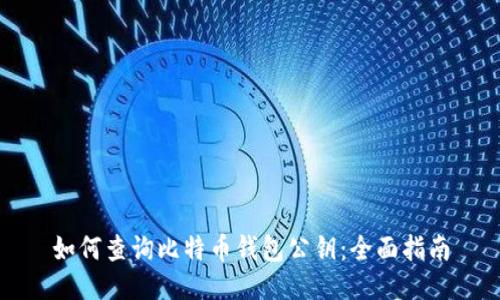 如何查询比特币钱包公钥：全面指南
