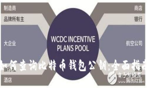 如何查询比特币钱包公钥：全面指南