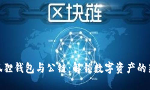 : 小狐狸钱包与公链:解锁数字资产的新机会