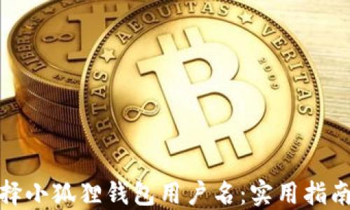 
如何选择小狐狸钱包用户名：实用指南与建议