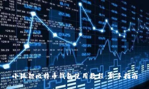 小狐狸比特币钱包使用教程:新手指南