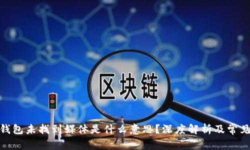 : 小狐狸钱包未找到媒体是什么意思？深度解析及常见问题解答