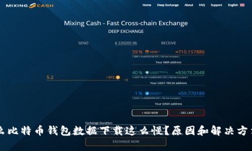 为什么比特币钱包数据下载这么慢?原因和解决方法分析