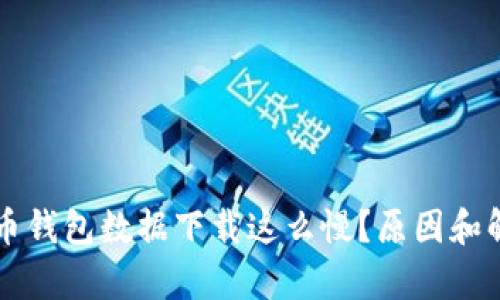 为什么比特币钱包数据下载这么慢?原因和解决方法分析