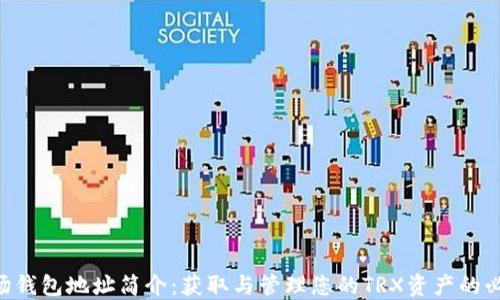 TRX波场钱包地址简介:获取与管理您的TRX资产的必备指南