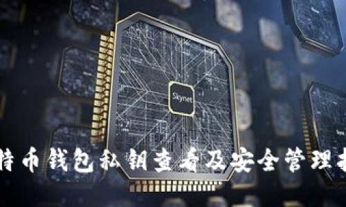 比特币钱包私钥查看及安全管理指南