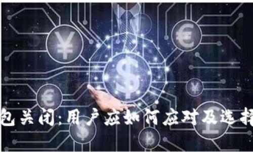 比特币钱包关闭:用户应如何应对及选择替代方案