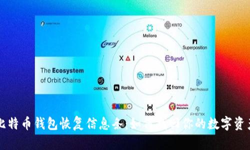 比特币钱包恢复信息条:如何找回你的数字资产