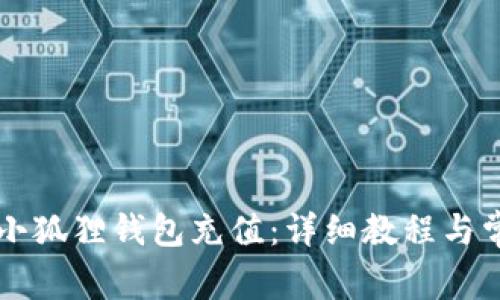 中币如何给小狐狸钱包充值:详细教程与常见问题解答