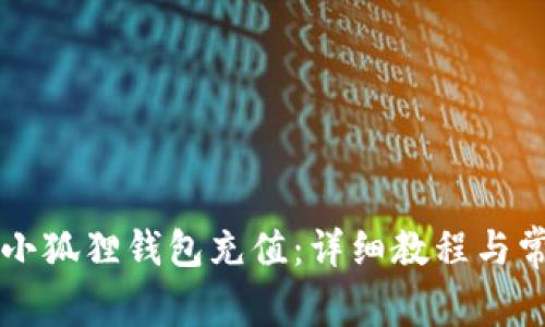 中币如何给小狐狸钱包充值:详细教程与常见问题解答