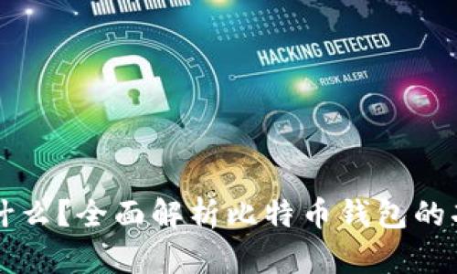 比特币钱包是什么?全面解析比特币钱包的功能与使用方式